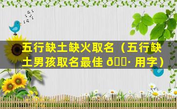 五行缺土缺火取名（五行缺土男孩取名最佳 🕷 用字）